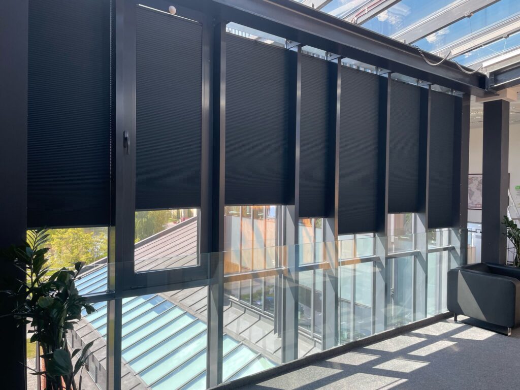 Nowoczesne, wysokie okna z zamontowanymi czarnymi plisami okiennymi. Przeszklenie sięga od podłogi do sufitu, we wnętrzu znajdują się fotele i rośliny.